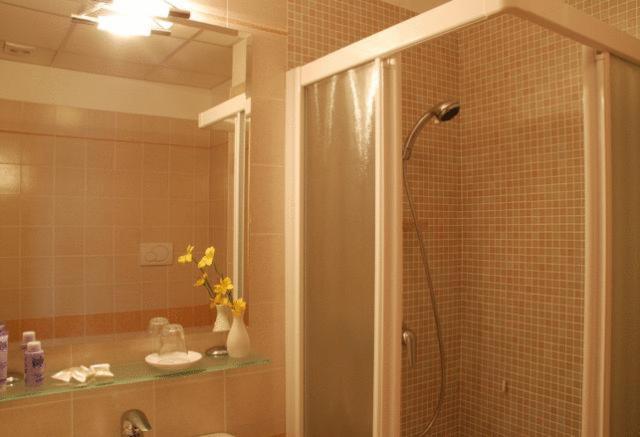 Hotel Canareggio 3*